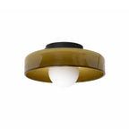 Olive green flush mount ceiling light with opal glass globe and black base