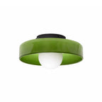 Green flush mount ceiling light with opal glass globe and black base